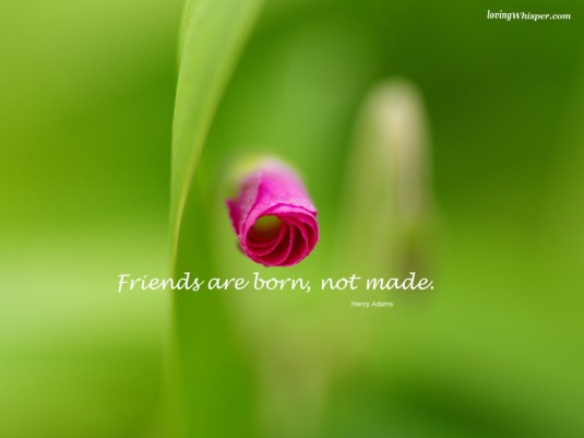 47987-friends-are-born